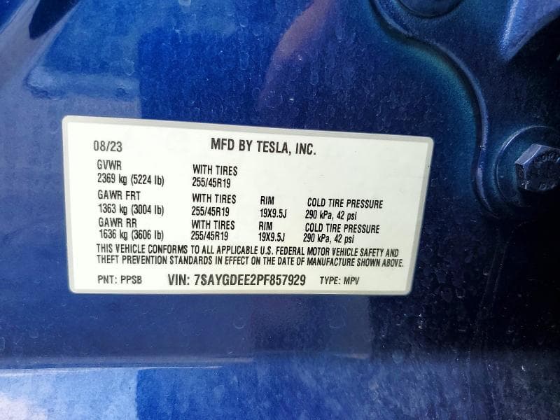 2023 TESLA MODEL Y 13