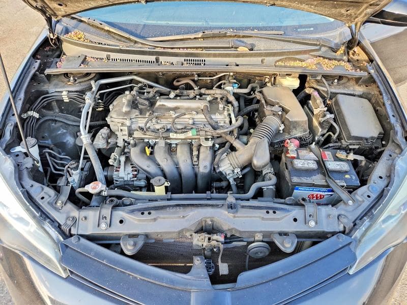 2018 TOYOTA COROLLA XLE 11