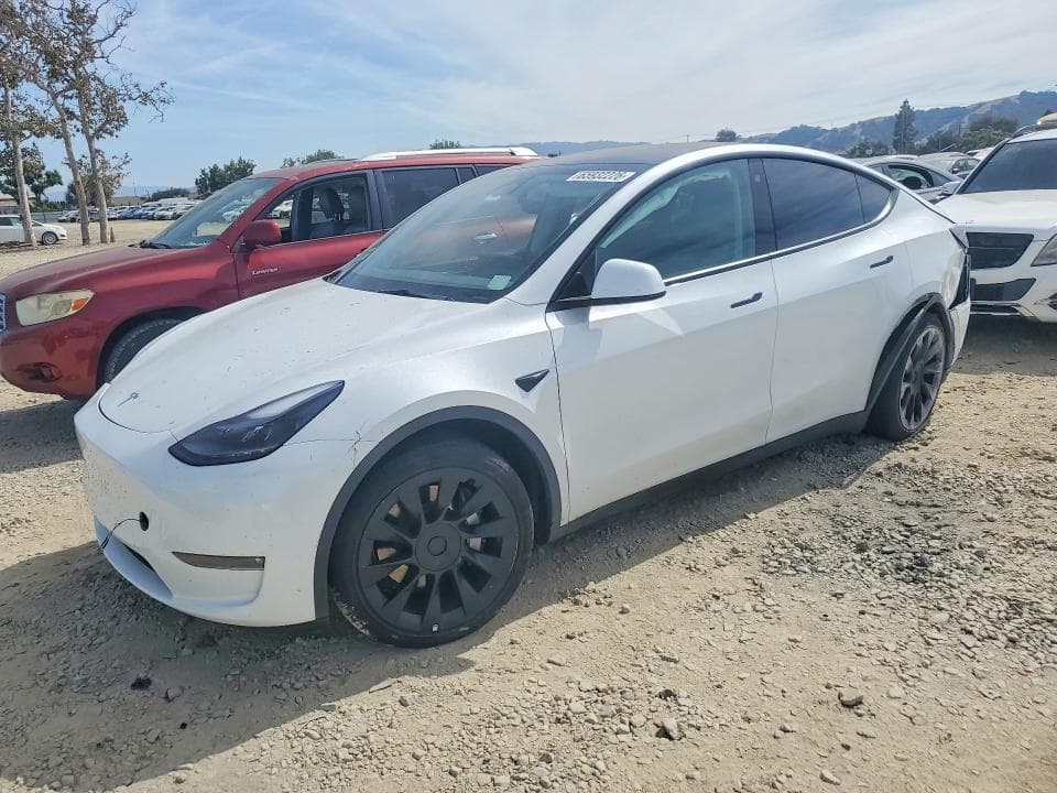 2023 TESLA MODEL Y - 1