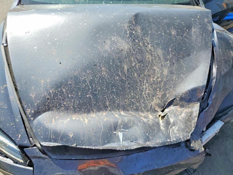 2025 TESLA MODEL 3 11