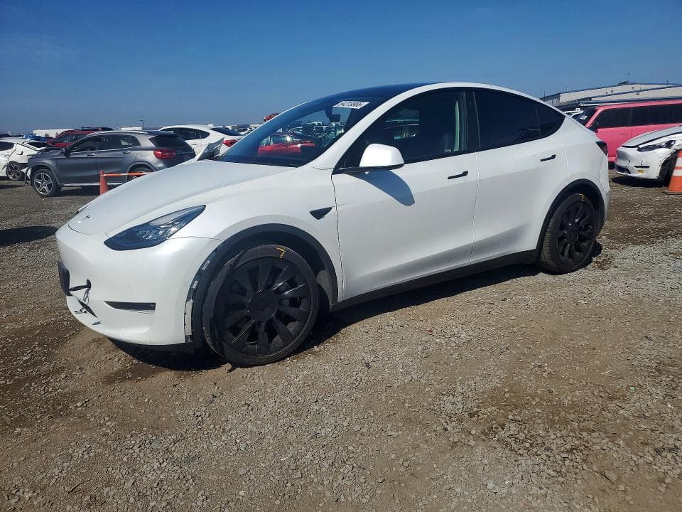 2021 TESLA MODEL Y - 1