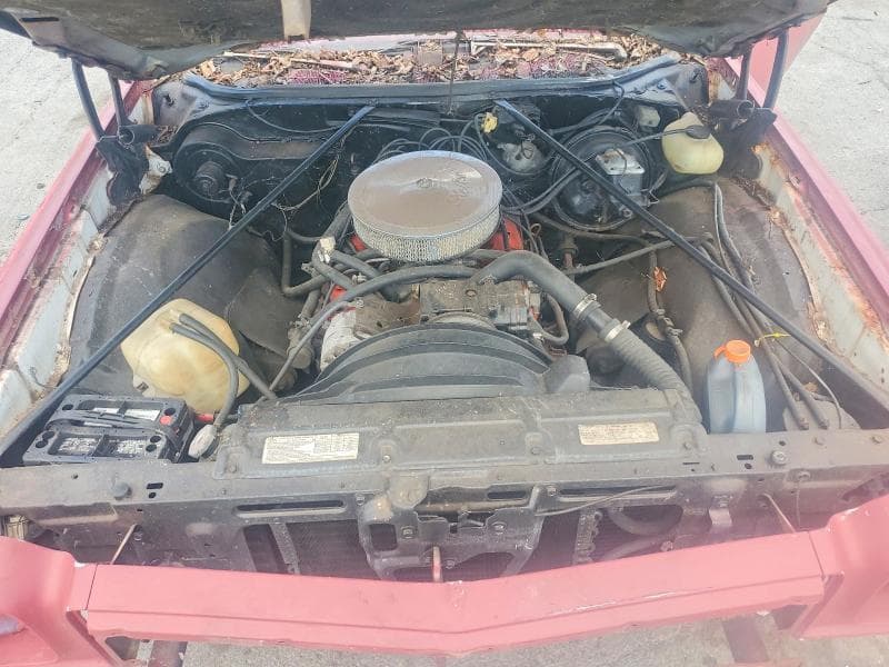 1974 CHEVROLET MALIBU 11