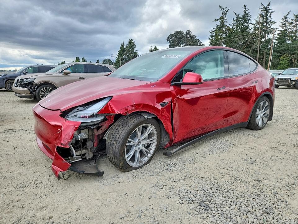 2024 TESLA MODEL Y - 1