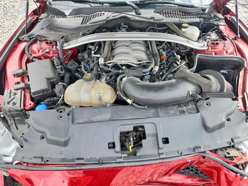 2019 FORD MUSTANG GT 11