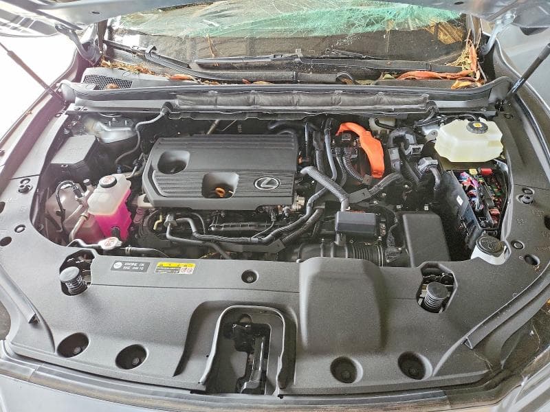 2026 LEXUS RX 350H PREMIUM+ 12