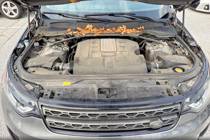 2017 LAND ROVER DISCOVERY SE 7