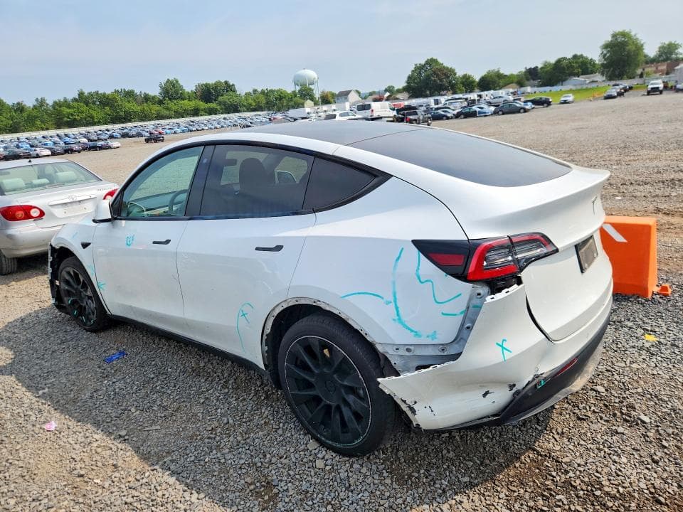 2020 TESLA MODEL Y 2