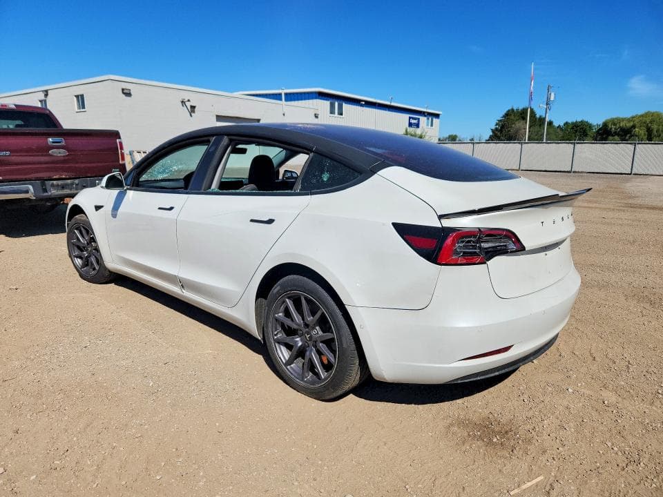 2019 TESLA MODEL 3 2