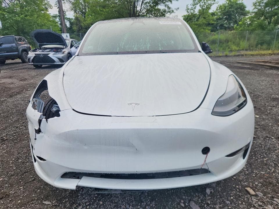 2023 TESLA MODEL Y 5