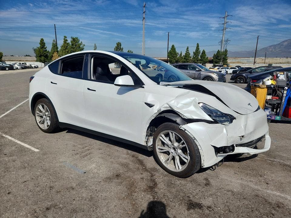 2024 TESLA MODEL Y 4