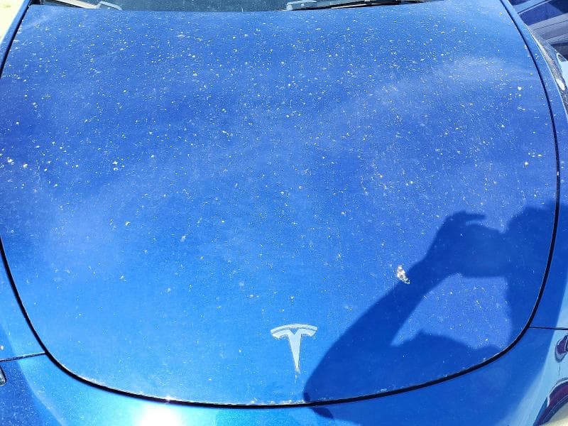 2023 TESLA MODEL Y 11