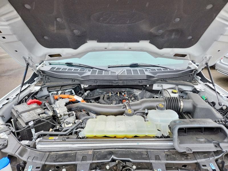 2025 FORD F150 XLT 11