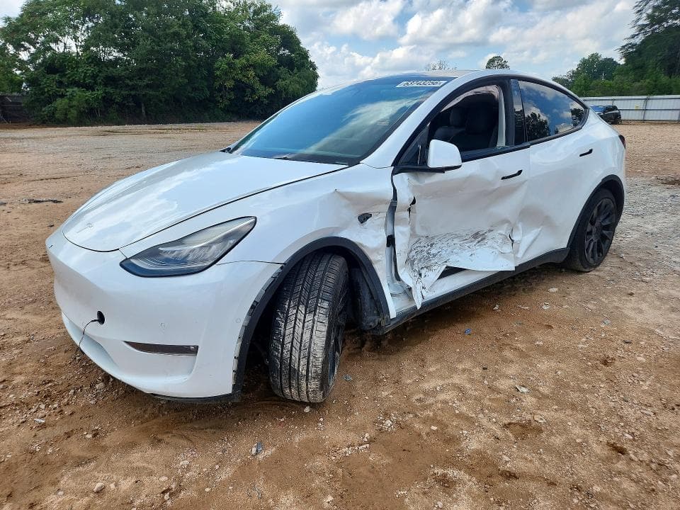 2021 TESLA MODEL Y - 1
