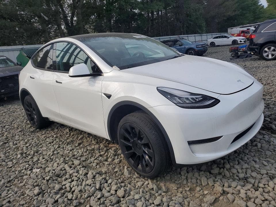 2023 TESLA MODEL Y 4