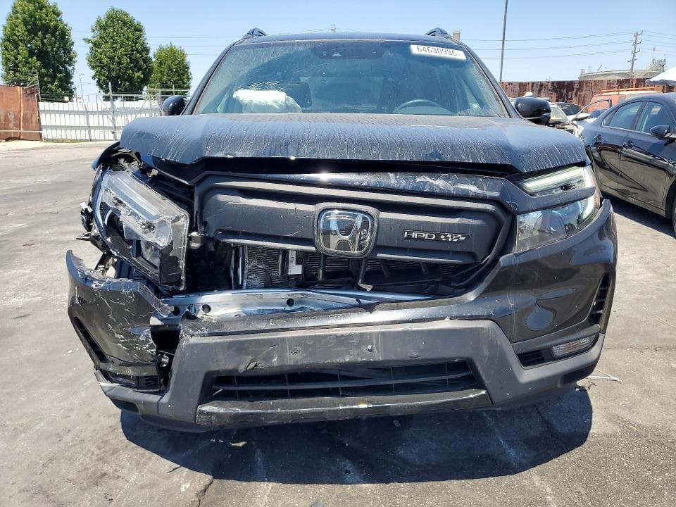 2024 HONDA PASSPORT BLACK EDITION 5