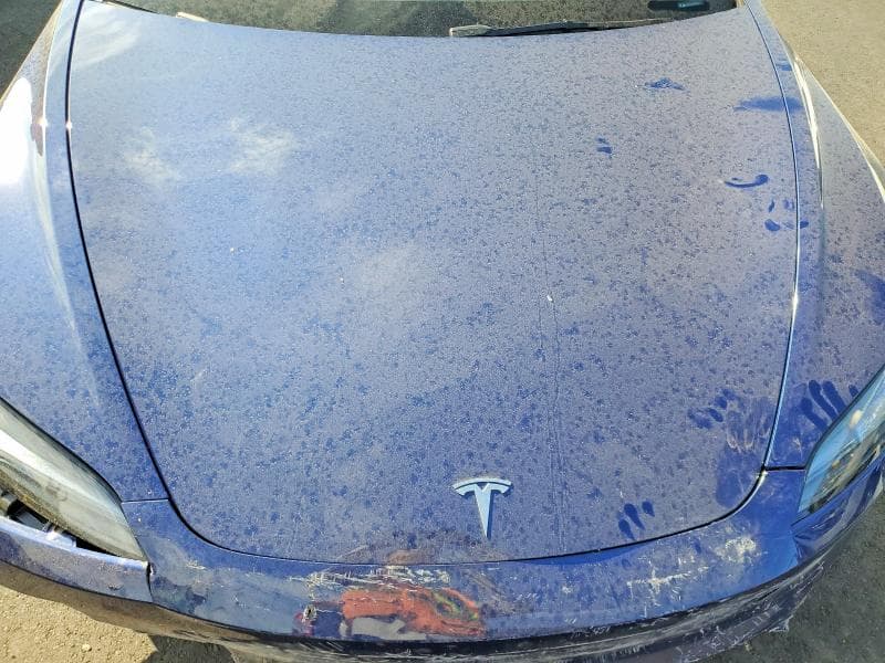 2025 TESLA MODEL 3 11