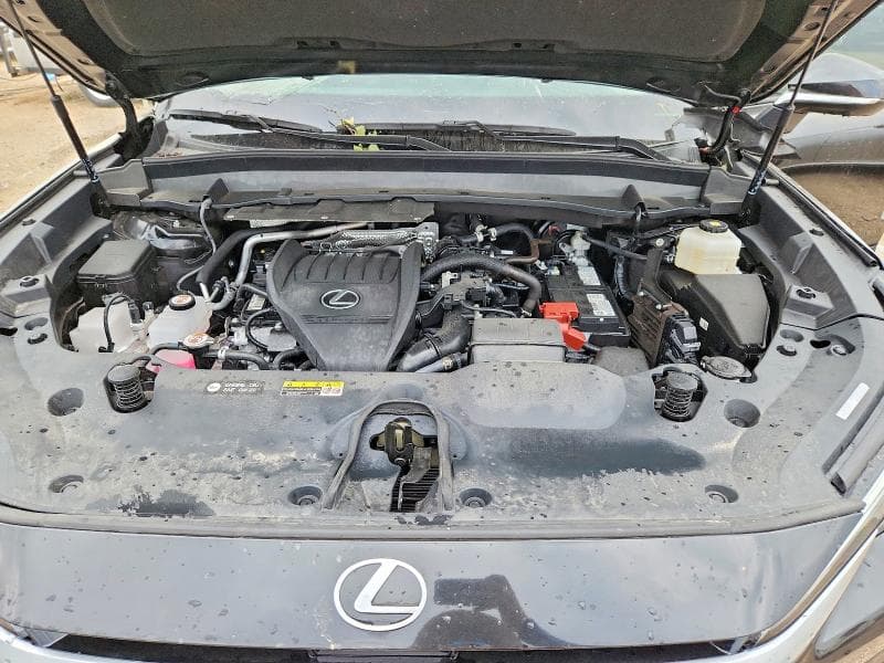 2025 LEXUS TX 350 PREMIUM 11
