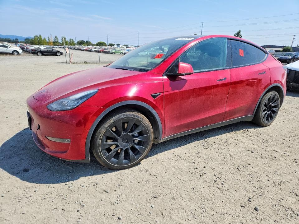 2021 TESLA MODEL Y - 1