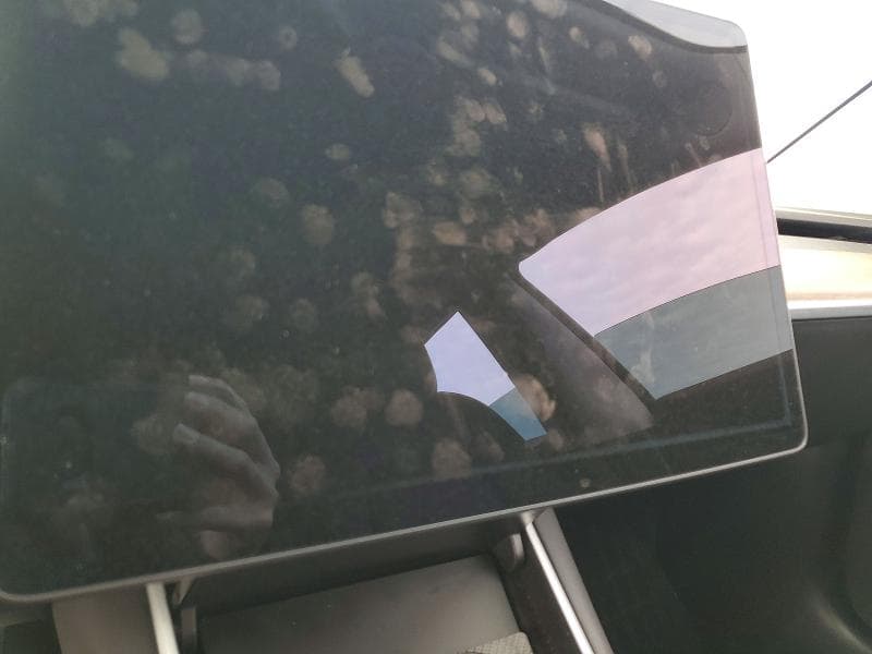 2019 TESLA MODEL 3 9
