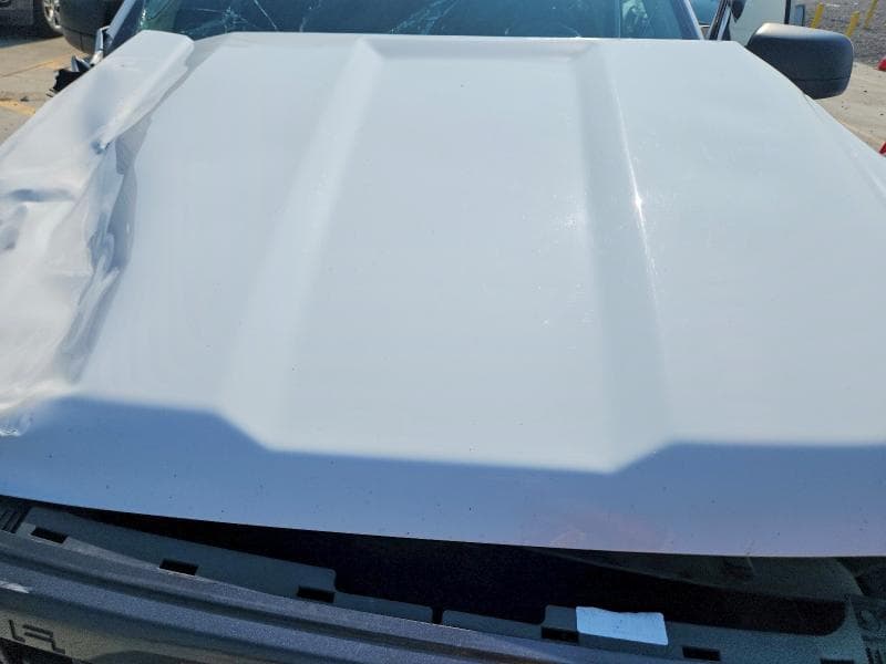 2019 FORD RANGER XL 11
