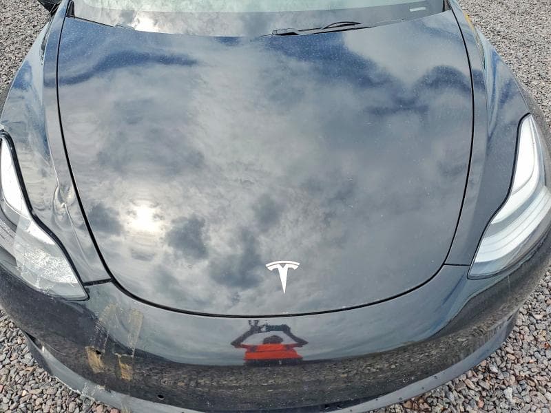2019 TESLA MODEL 3 11