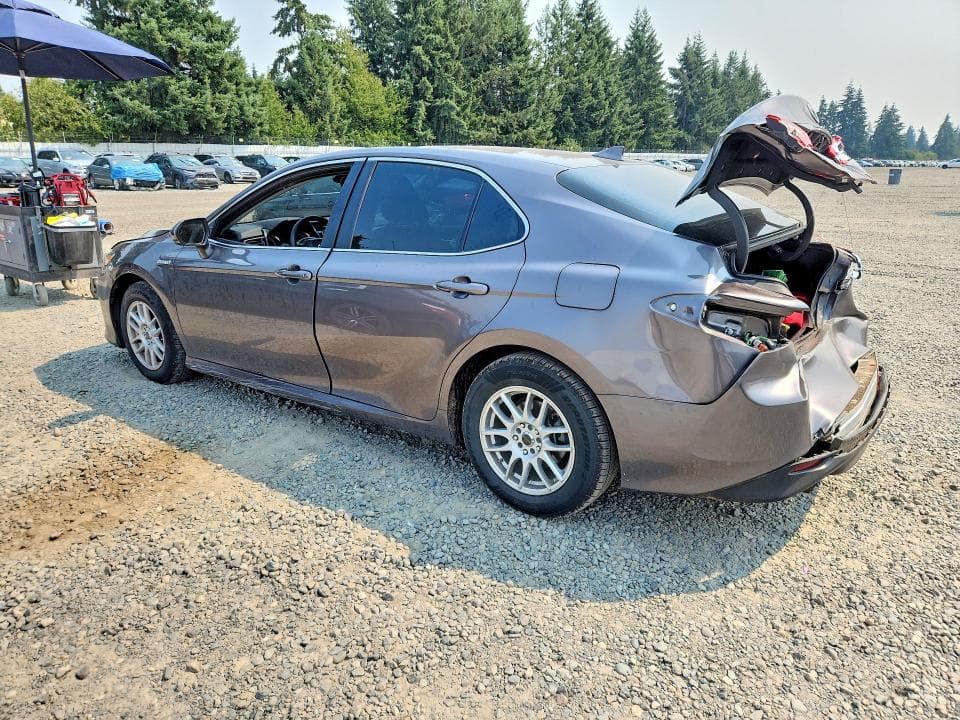 2019 TOYOTA CAMRY LE 2