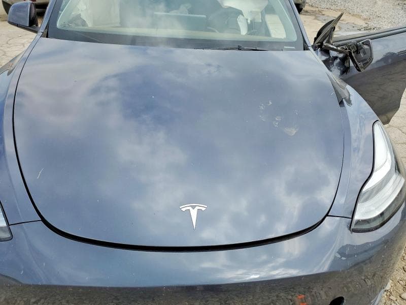 2023 TESLA MODEL Y 11