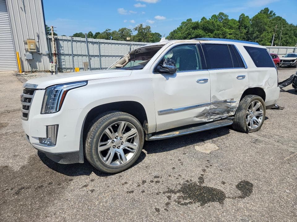 2019 CADILLAC ESCALADE LUXURY - 1