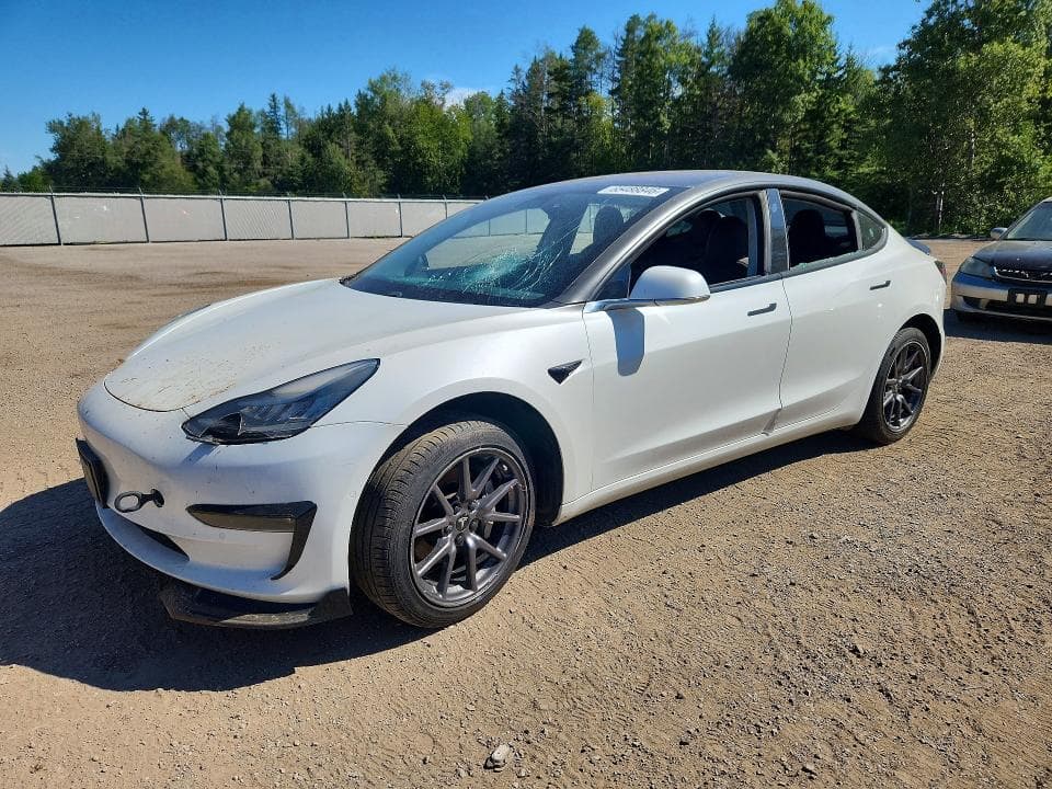 2019 TESLA MODEL 3 - 1