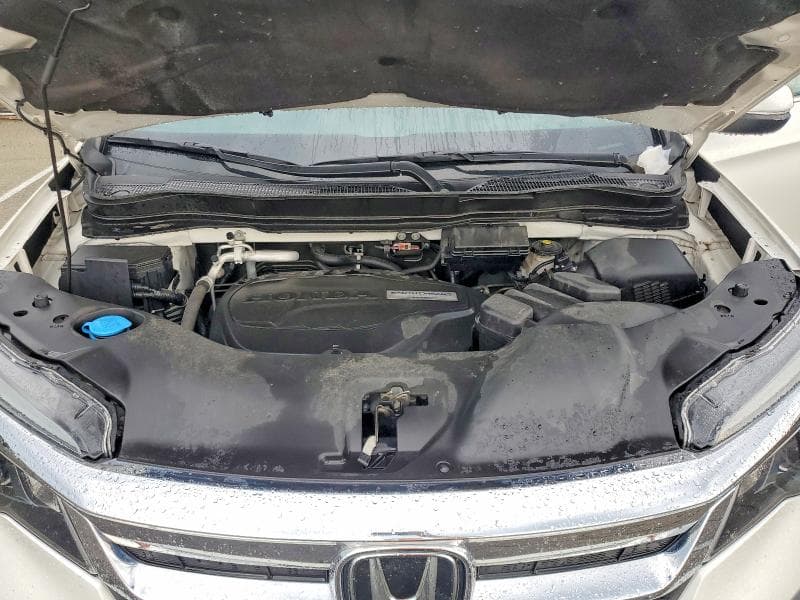 2019 HONDA PILOT EXL EXL 12
