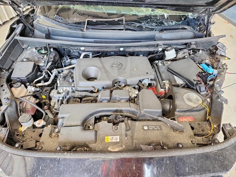 2025 TOYOTA RAV4 XLE PREMIUM 12