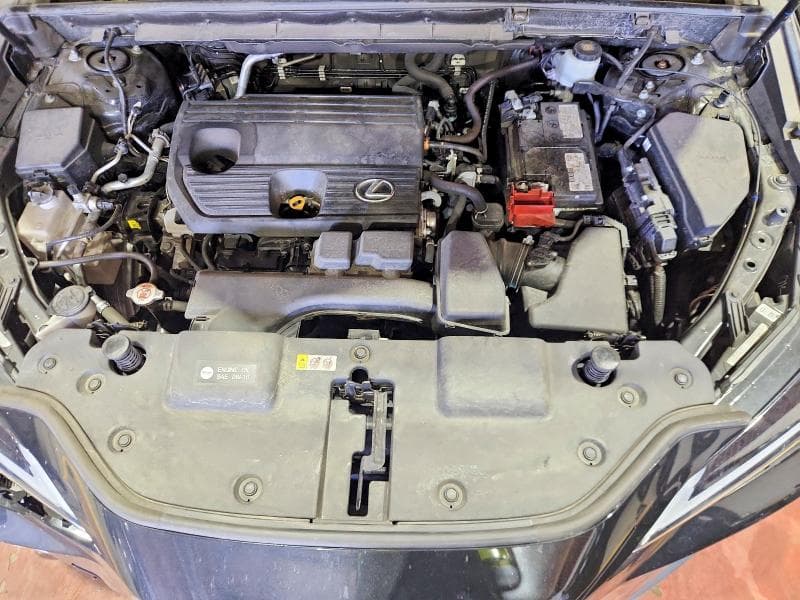 2024 LEXUS NX 250 BASE 12