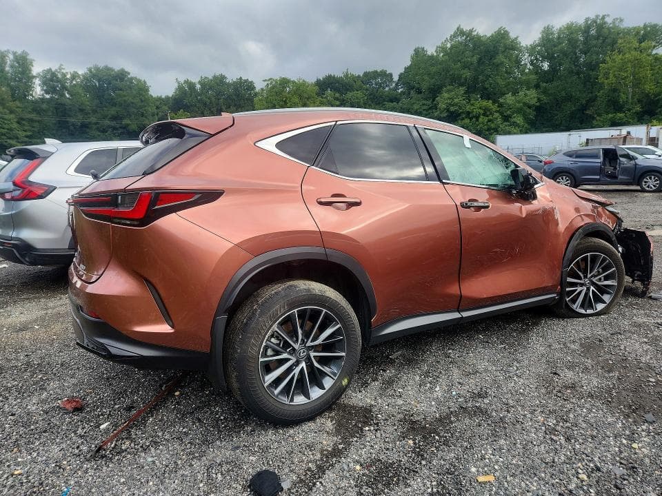 2025 LEXUS NX 350 PREMIUM 3