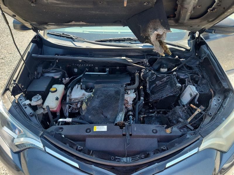 2017 TOYOTA RAV4 LE 12