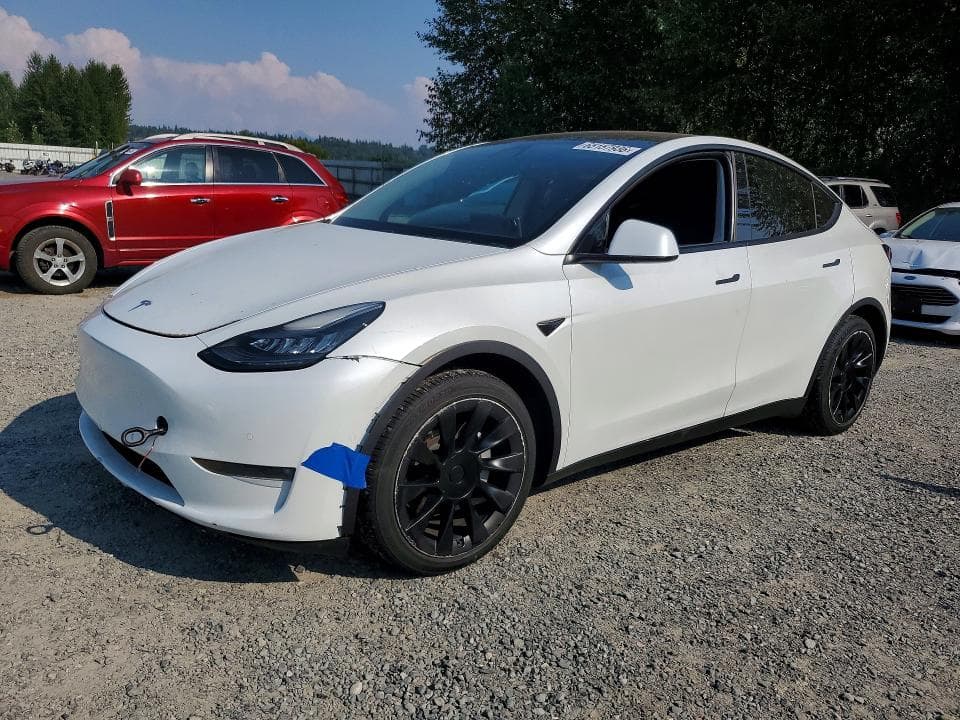 2020 TESLA MODEL Y - 1