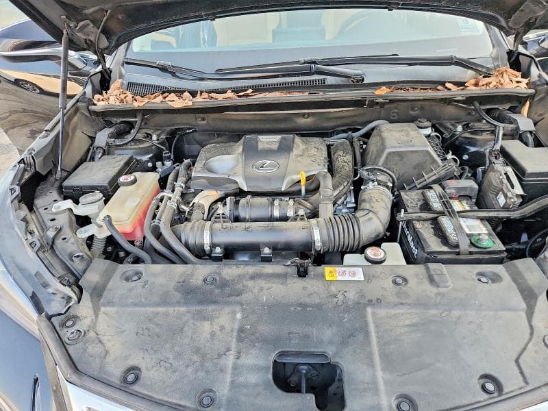 2017 LEXUS NX 200T BASE 12