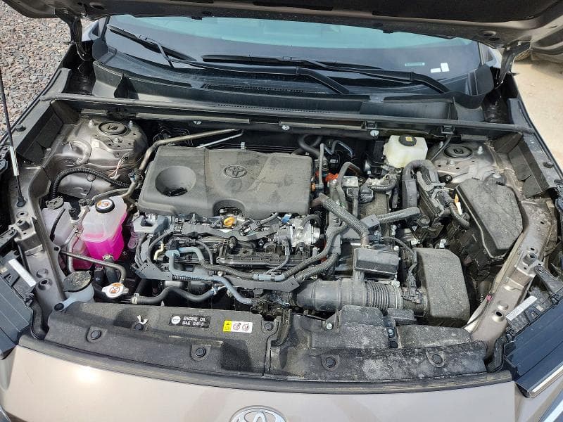 2026 TOYOTA RAV4 XLE PREMIUM 12