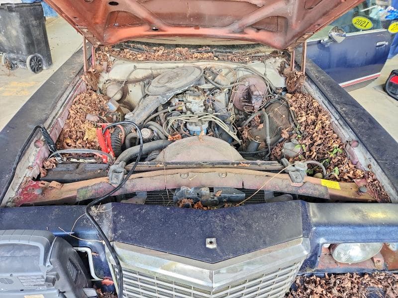 1978 FORD THUNDERBIRD 11