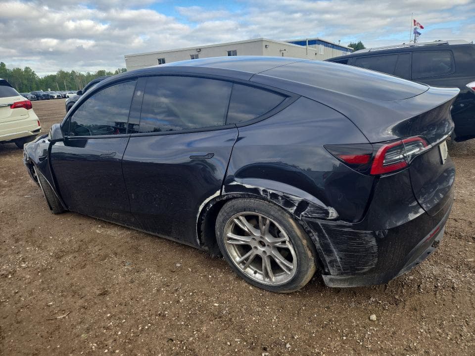 2024 TESLA MODEL Y 2