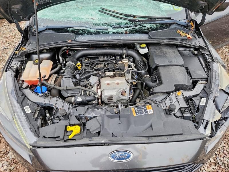 2018 FORD FOCUS SE 11