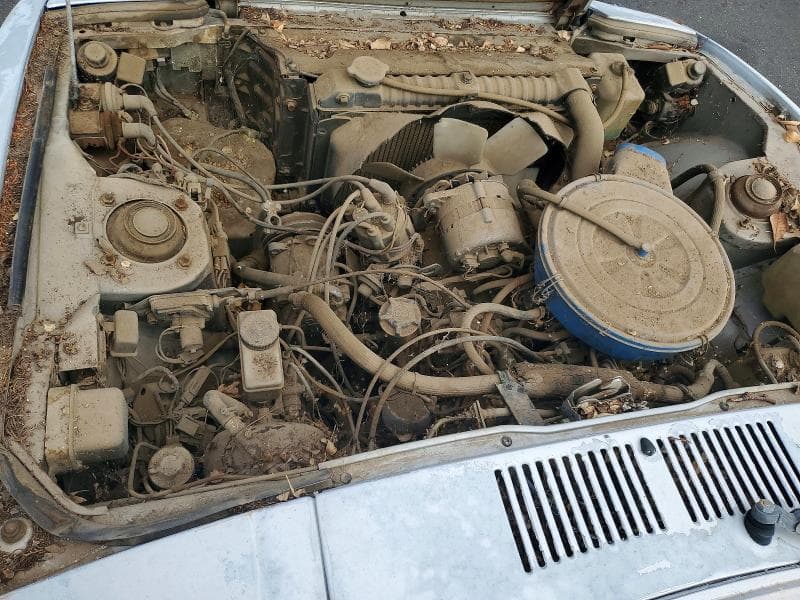 1979 MAZDA UNKNOWN 11