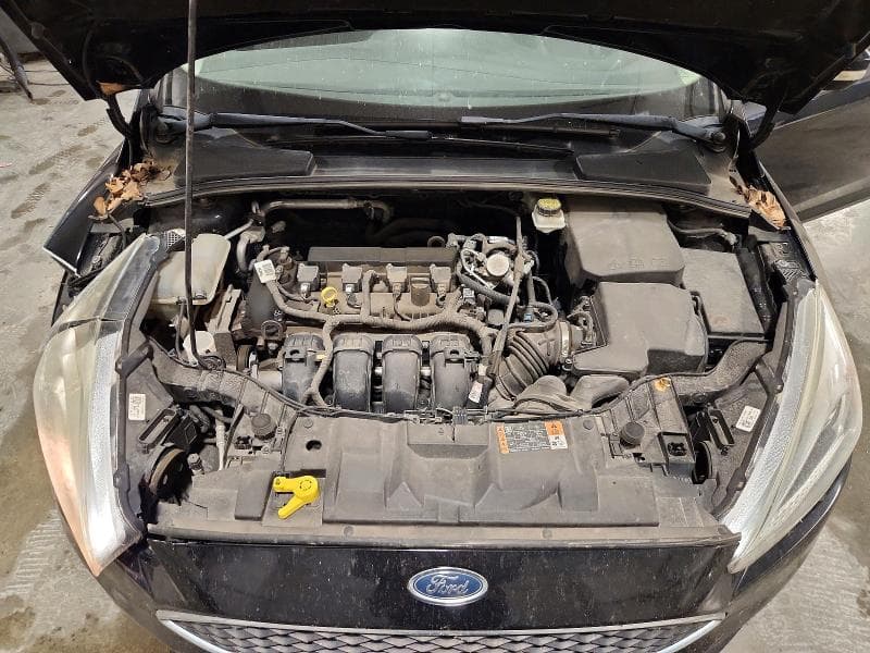 2017 FORD FOCUS SE 11