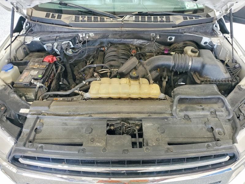 2019 FORD F150 11