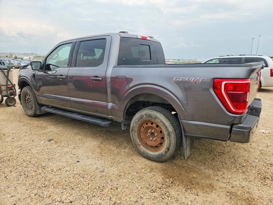 2022 FORD F150 SUPERCREW 2