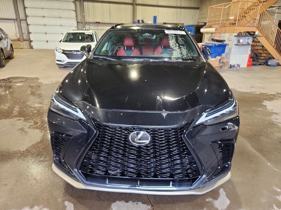 2023 LEXUS NX 350 5