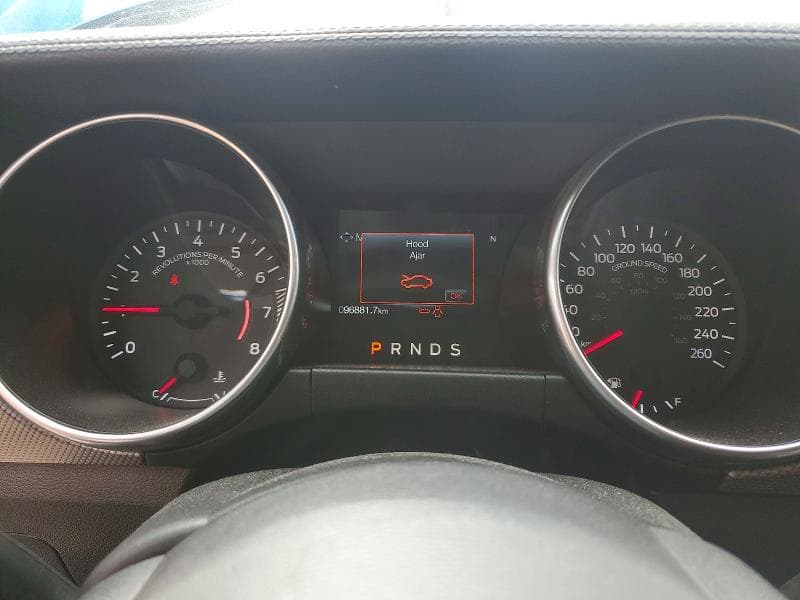 2019 FORD MUSTANG GT 9