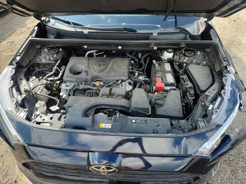 2025 TOYOTA RAV4 LE 12