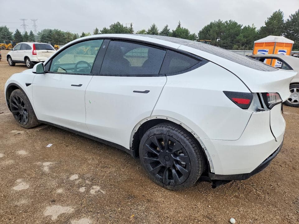 2021 TESLA MODEL Y 2