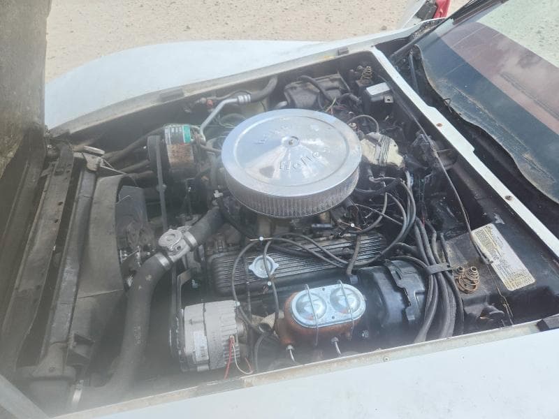 1977 CHEVROLET CORVETTE 11