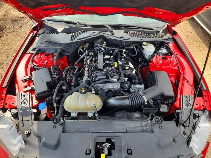 2021 FORD MUSTANG 11